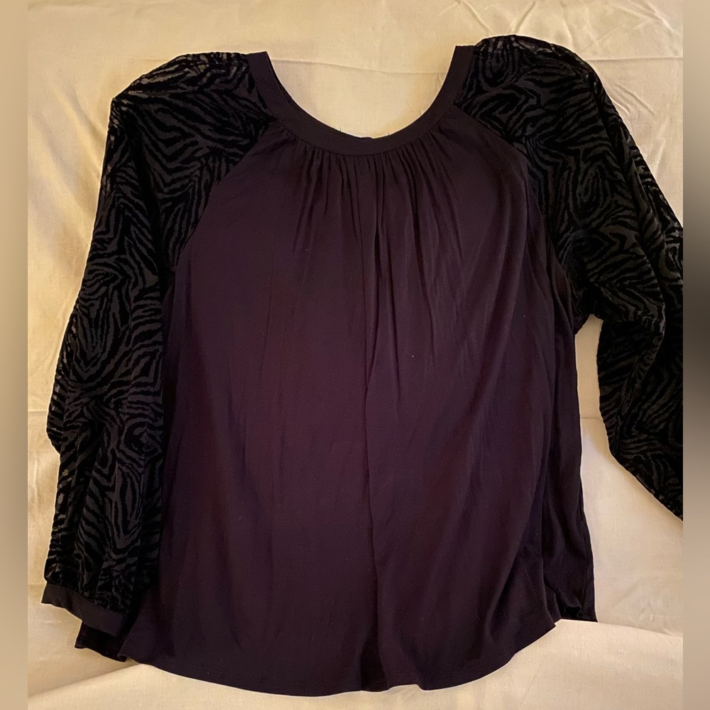 Beautiful sheer sleeve blouse